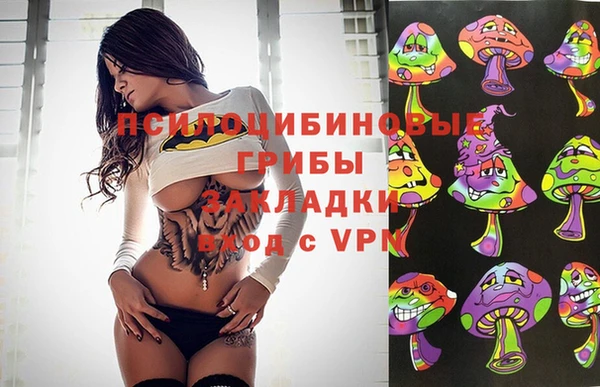 марки lsd Абаза